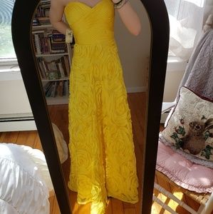 Adrianna Papell Prom Dress!!